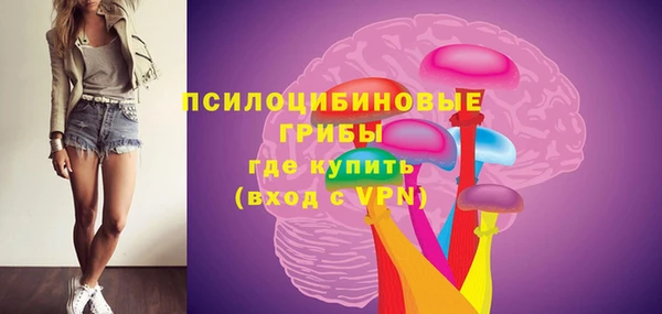гидра Аркадак