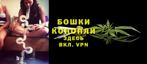 гидра Аркадак