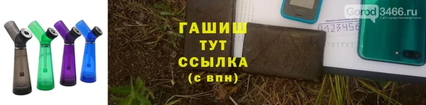 гидра Аркадак