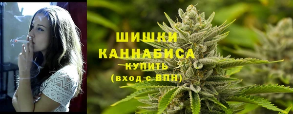 гидра Аркадак