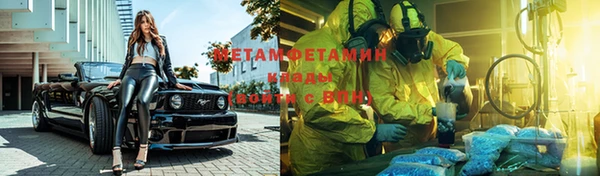гидра Аркадак