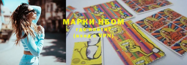 гидра Аркадак